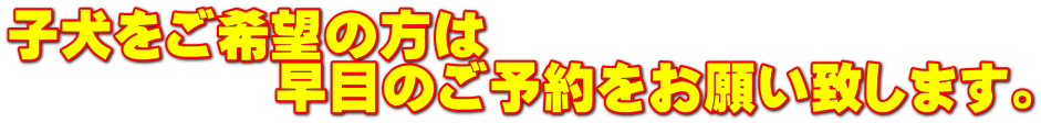 子犬をご希望の方は 　　　　　早目のご予約をお願い致します。