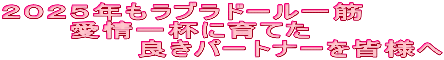 ２０２５年もラブラドール一筋 　　　愛情一杯に育てた 　　　　　　良きパートナーを皆様へ