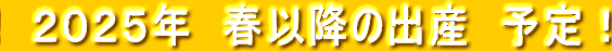 　２０２５年　春以降の出産　予定！